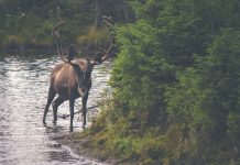 Hiking Trails in San Jose and Silicon Valley