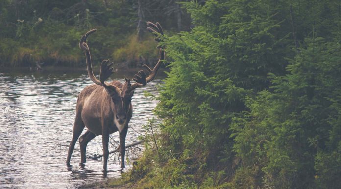 Hiking Trails in San Jose and Silicon Valley