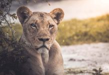 Take an Epic Cross-Country Road Trip