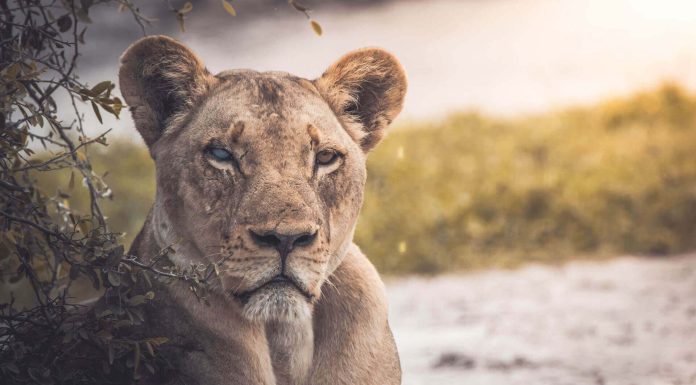 Take an Epic Cross-Country Road Trip