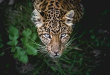 12 Beautiful Beach Town Bargains