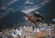 Dishes We’d Travel Back in Time to Eat Again