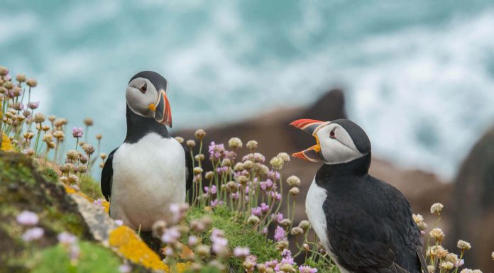 Unique Places to Stay in Italy