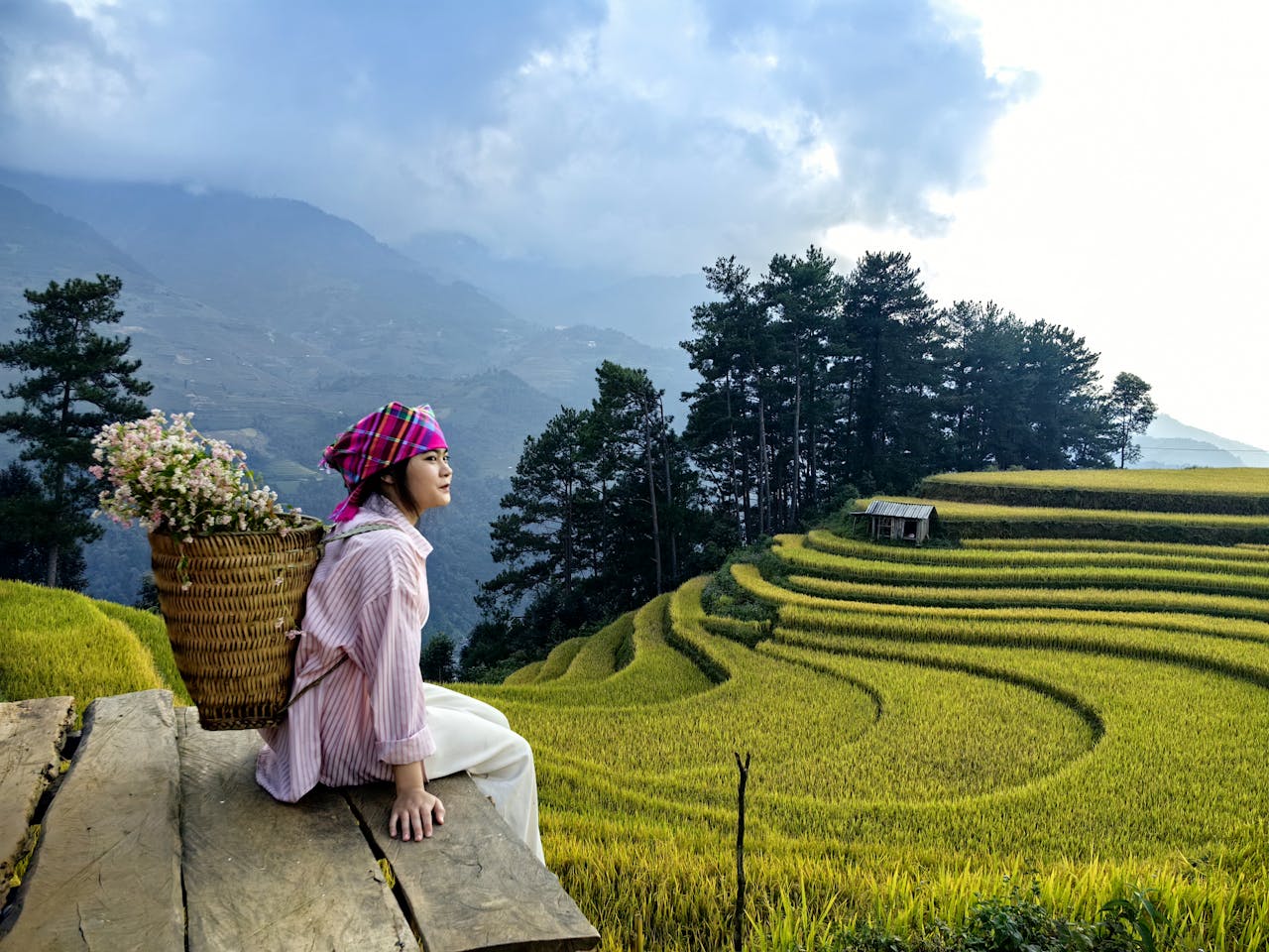 Hmong woman with flowers beside stunning Yên Bái rice terraces, Vietnam.